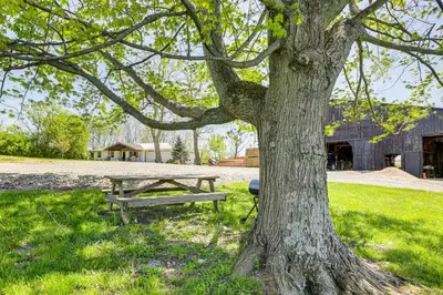 a picnic table and a tree in a field at Dry Ridge Farmhouse with Hot Tub and Game Room! in Dry Ridge