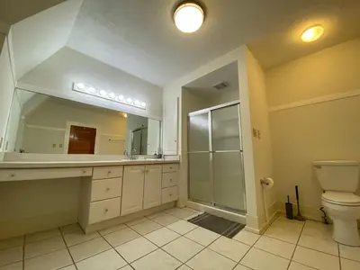 a bathroom with a toilet and a large mirror at Luxurious Mansion for Large Groups in Cleveland Heights