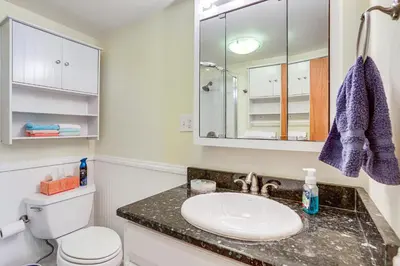 a bathroom with a sink and a toilet at Waterfront Port Clinton Cottage with Fire Pit! in Port Clinton