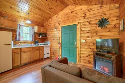 a living room with a couch and a fireplace in a cabin at Blue Rose Cabins - Cozy Cabin in Logan