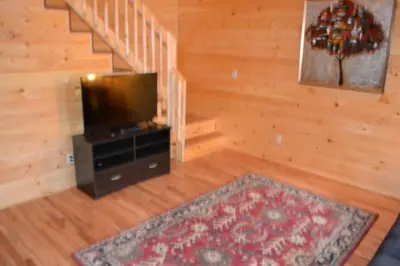 a living room with a television and a rug at Blue Rose Cabins - Naughty Pine Cabin in Logan