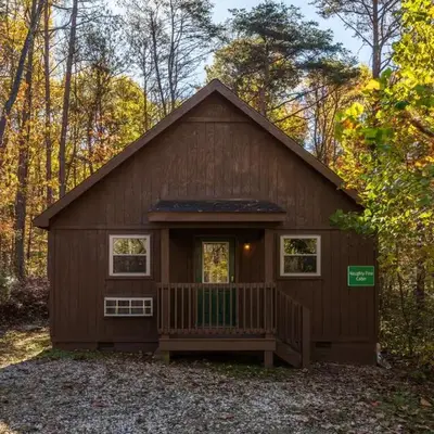 Blue Rose Cabins - Naughty Pine Cabin