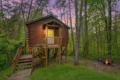 a log cabin in the woods with a fire at Blue Rose Cabins - Treetops Cabin in Logan