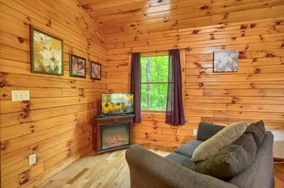 a living room with a couch and a fireplace at Blue Rose Cabins - Treetops Cabin in Logan