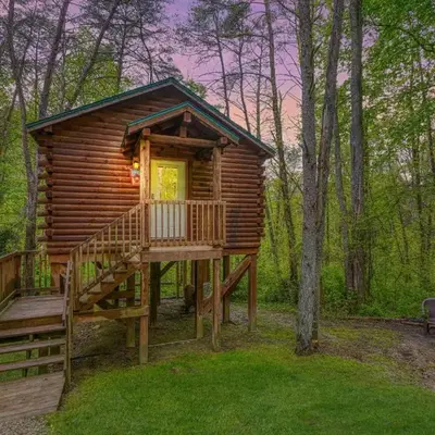Blue Rose Cabins - Treetops Cabin