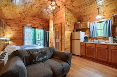a living room with a couch in a log cabin at Blue Rose Cabins - Wildwoods Cabin in Logan