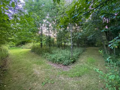 a path through a forest with trees and grass at Beautiful Tiny House, Sauna, Mohican Getaway in Perrysville