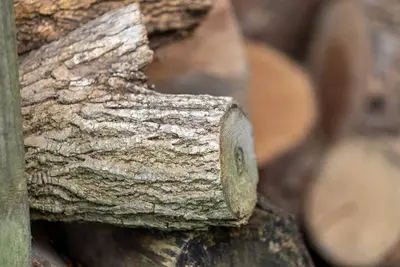a close up of a piece of wood with a piece of wood at Beautiful Tiny House, Sauna, Mohican Getaway in Perrysville