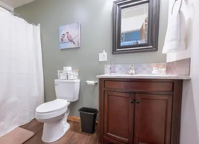 a bathroom with a toilet and a sink and a mirror at White Oak Cabin in Argillite