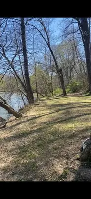 a grassy field with trees and a body of water at White Oak Cabin in Argillite