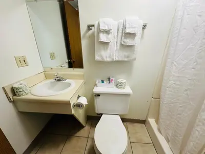 a bathroom with a toilet and a sink and a mirror at Quality Lodge in Sandusky