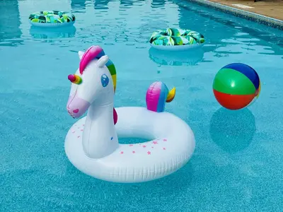 a pool with an inflatable horse in the water at Quality Lodge in Sandusky