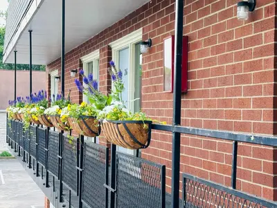 a row of potted plants on a brick building at Quality Lodge in Sandusky