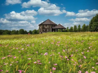 a field of flowers in front of a building at Wildflower Wanderlust-Glamping st 1885 Farms in Navarre