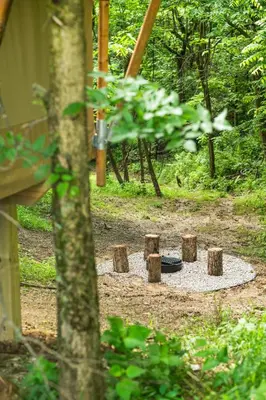 a fire pit in the middle of a forest at The Lodges at Eden Reserve - Safari Tents in Williamstown