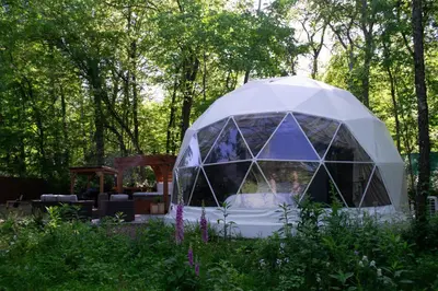 a dome tent in the middle of a garden at Mohican Hideaway in Brinkhaven