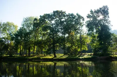 a group of trees on the shore of a river at Mohican Hideaway in Brinkhaven