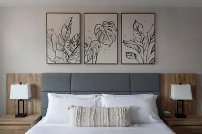 four framed drawings of flowers above a bed at The Wave at Marblehead in Marblehead