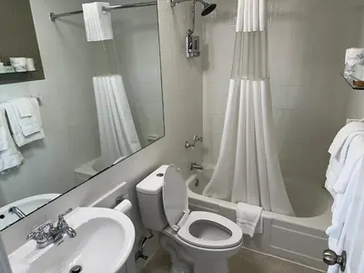 a bathroom with a toilet and a sink and a tub at Island House Historic Vacation Rentals in Port Clinton