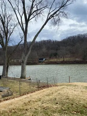 a body of water with a tree and a fence at Take me to the River! in Zanesville