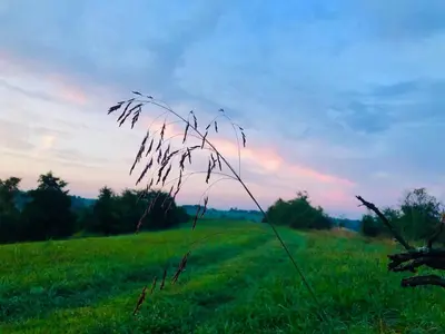a field of grass with a sunset in the background at 100 Acre Relaxing Retreat Near ARK- The Cabin in Williamstown