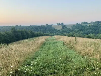 a dirt road in a field of grass at 100 Acre Relaxing Retreat Near ARK- The Cabin in Williamstown