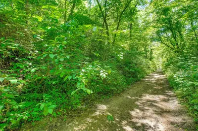 a dirt trail in the middle of a forest at Quiet Family Cabin in Hamden Hot Tub and Game Room! in Hamden