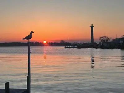 a bird sitting on a pole in the water with a lighthouse at Victorian Inn Bed And Breakfast in Marblehead