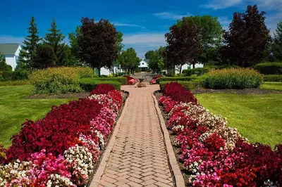 a brick walkway through a garden of flowers at Nice Condo on Nature Preserve in Dublin