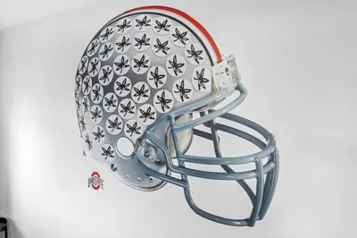 a football helmet with bugs on it at The Ohio State of Mind 5BR 2BA in Columbus