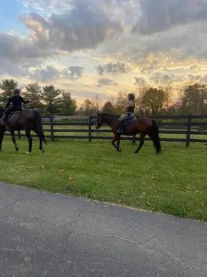 two people riding horses on the grass near a fence at 102 Acre Pet Friendly Horse Farm! Bring your horse too! in Lebanon