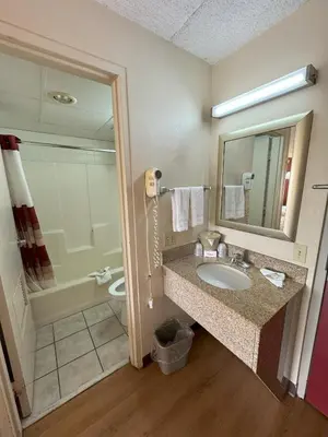 a bathroom with a sink and a toilet and a mirror at Sycamore Suites in Elyria