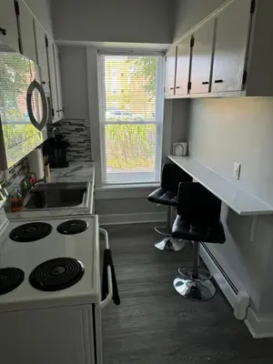 a small kitchen with a stove and a sink at Downtown Willoughby Historic District Gem #2 in Willoughby