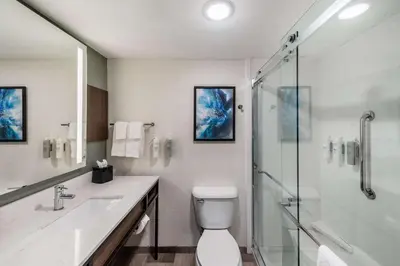 a bathroom with a shower and a toilet and a sink at The Hilton Garden Inn in Grove City