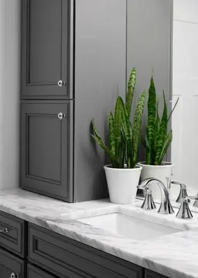 a bathroom counter with two potted plants and a sink at Lux Townhome - Washington Park - Walk to ALL in Cincinnati