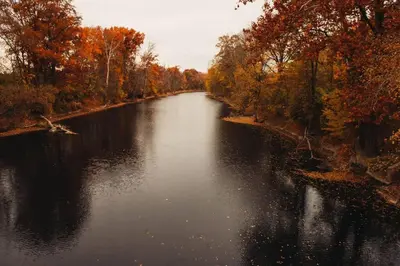 a view of a river in the middle of a forest at The General's Quarters in Defiance