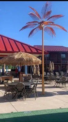 a patio with tables and chairs and a palm tree at Beverly Hills Inn in Aberdeen