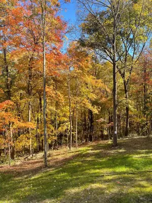 a park with trees with autumn leaves at The Quana - Hot tub, fire pit, and Huge Entertainment Area in Logan