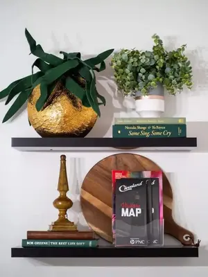 two shelves with books and a plant and a book at Newly Renovated - Professionally Designed - 2 BR in Lakewood