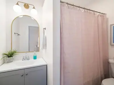 a bathroom with a shower with a sink and a mirror at Newly Renovated - Professionally Designed - 2 BR in Lakewood