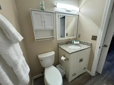 a bathroom with a toilet and a sink and a mirror at New! Kelleys Island Condo in Kelleys Island