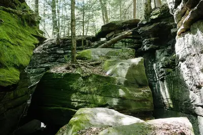 a group of rocks and trees in a forest at Cuyahoga Valley NP, Dog Friendly, Boston Mills Ski in Brecksville