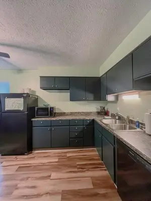 a kitchen with black cabinets and a sink at Blue Heron Cottage with Game Room, Deck, Hot Tub in Logan