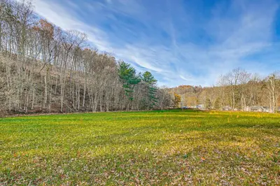 a large field with trees and green grass at Stay and Play West Virginia Country Home! in Davisville