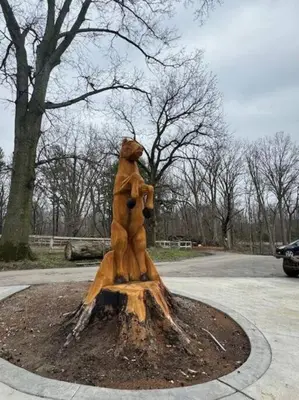 a statue of a bear standing on a stump at The House Hotels - Acadia Farms in Northfield