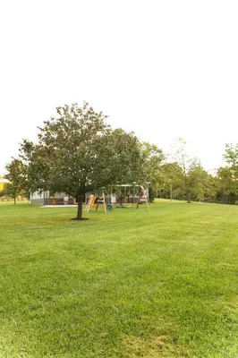 a park with a tree and a playground at Maple Lawn in Moores Hill