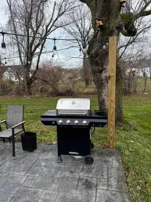 a barbecue grill sitting next to a tree in a park at Beck Lake House in Kelleys Island