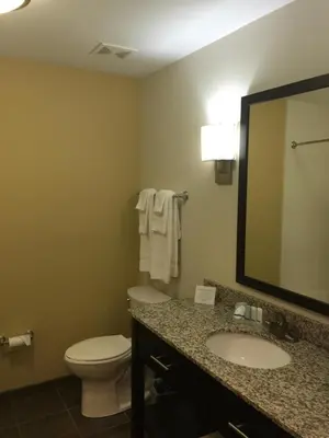 a bathroom with a toilet and a sink and a mirror at Sleep Inn & Suites Parkersburg - Mineral Wells in Parkersburg
