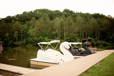 a pontoon boat with two swans on a dock at Adventure Hub Biking Hiking Hunting Paddle in Athens