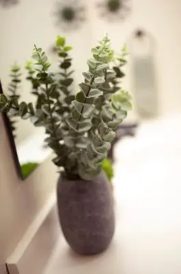a purple vase with a plant in it on a table at Adventure Hub Biking Hiking Hunting Paddle in Athens